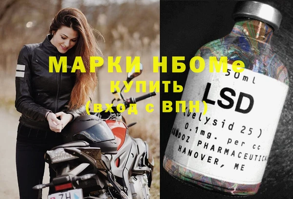 сатива Алзамай