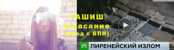 сатива Алзамай