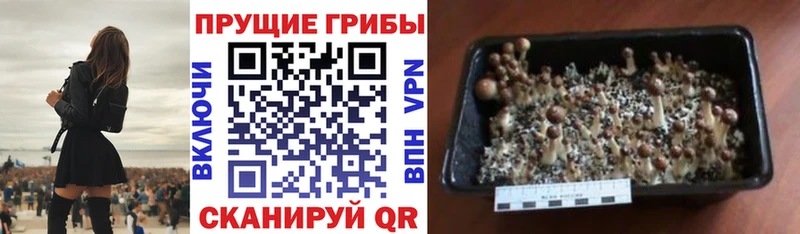 Галлюциногенные грибы ЛСД Себеж